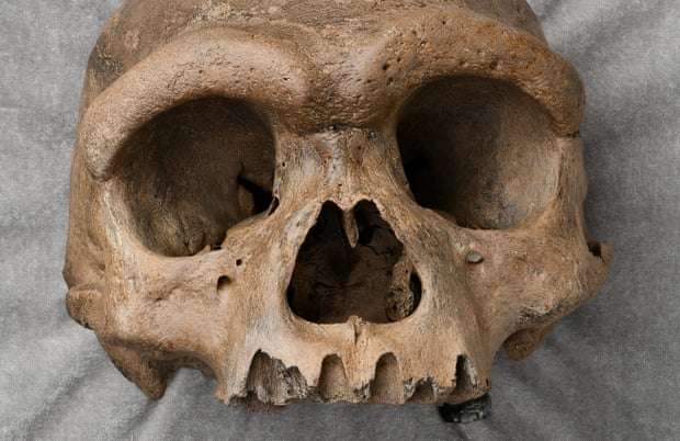 Kafka masive e zbuluar në Kinë nxit shkencëtarët ta rimendojnë evolucionin