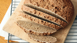 Vlerat e bukës së zezë për organizëm më të fortë