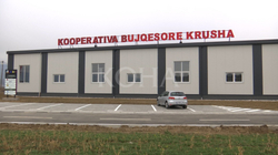 Kryepersonazhi i “Zgjoit” vazhdon suksesin bashkë me gratë krushiane