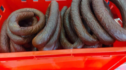 Konfiskohen 700 kg produkte të mishit të prishur në Ferizaj