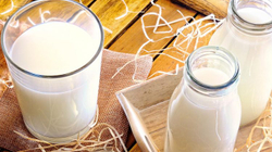 Për të marrë më shumë proteina, qumështi duhet të pihet në mëngjes