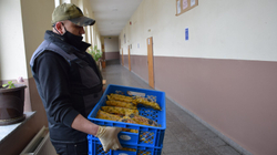 Prizreni nis shpërndarjen e shujtave falas për nxënësit e ciklit të ulët