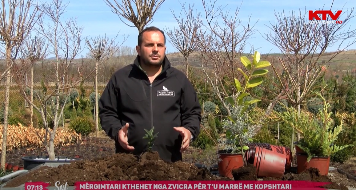Mërgimtari kthehet nga Zvicra për t’u marrë me kopshtari