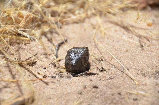 Zbulohet prej nga erdhi asteroidi që udhëtoi për 23 milionë vjet para se të zbriste në Tokë