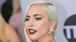 Pesë të arrestuar deri më tani për grabitjen e qenve të Lady Gagas