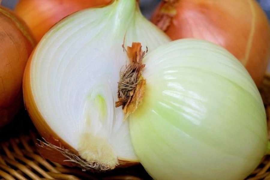Trajtoni disa sëmundje me qepë