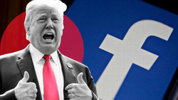 Bordi mbështet largimin e Donald Trumpit nga Facebooku