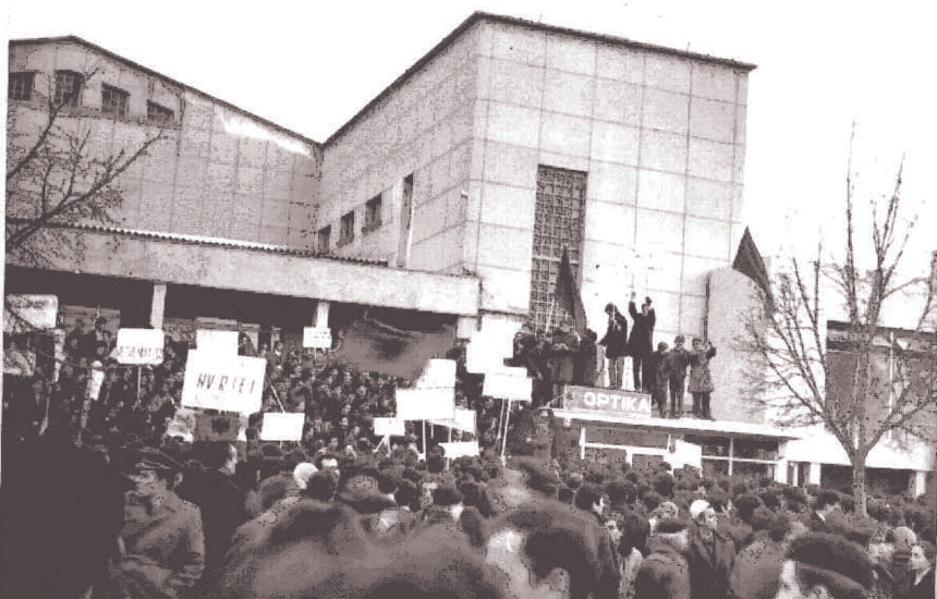 Demonstratat e vitit 1981