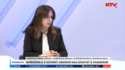 Nagavci e sheh rrugë të vështirë kthimin e Kosovës në ENQA dhe EQAR