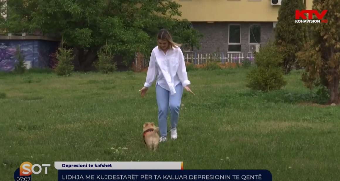 Lidhja me kujdestarët për ta kaluar depresionin te qentë