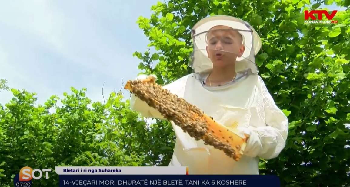 14 vjeçari mori dhuratë një bletë, tani ka 6 koshere