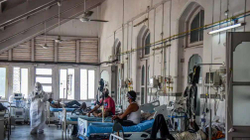 Që nga marsi mbi 500 mjekë të vdekur në Indi