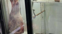 Aktakuzë ndaj një personi të cilit i ishin konfiskuar rreth 200 kg mish me prejardhje të dyshimtë