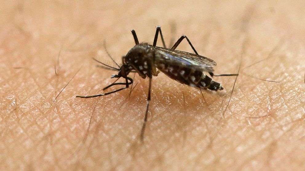 India regjistron 17 raste të reja me virusin Zika te fëmijët