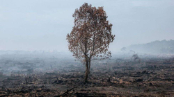 Bota pritet të jetë 2.6 gradë celsius më e ngrohtë