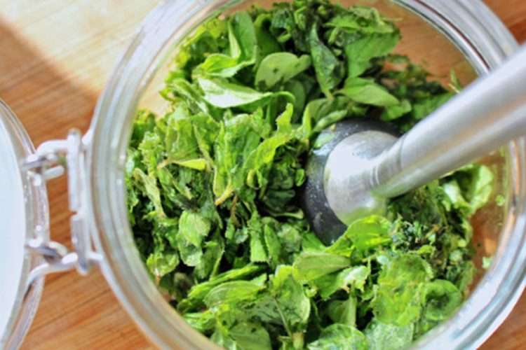 Shurupi i rigonit kundër kollës dhe acarimeve të fytit