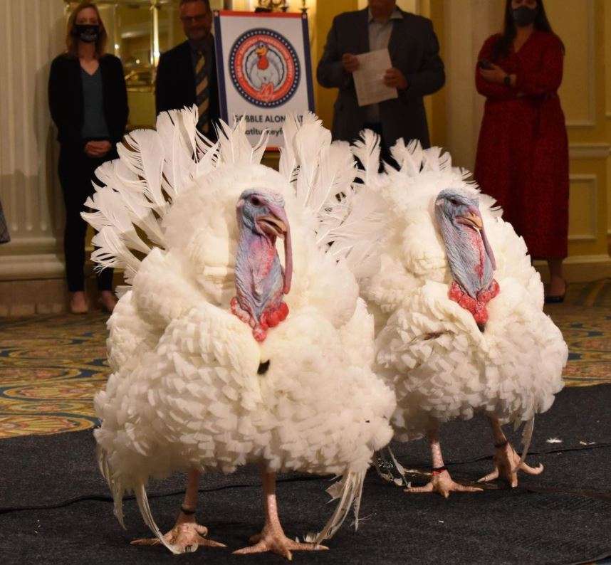 Dy gjeldeta falen nga presidenti amerikan nesër