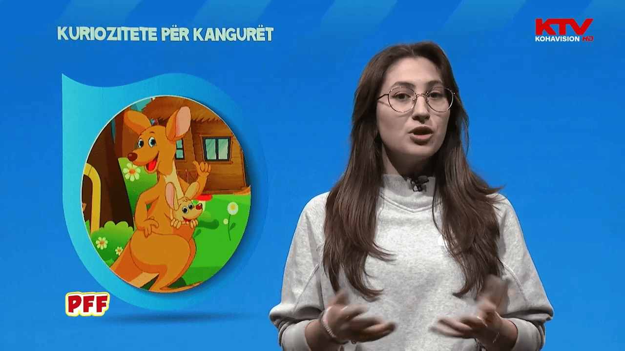 Kuriozitete për kangurin