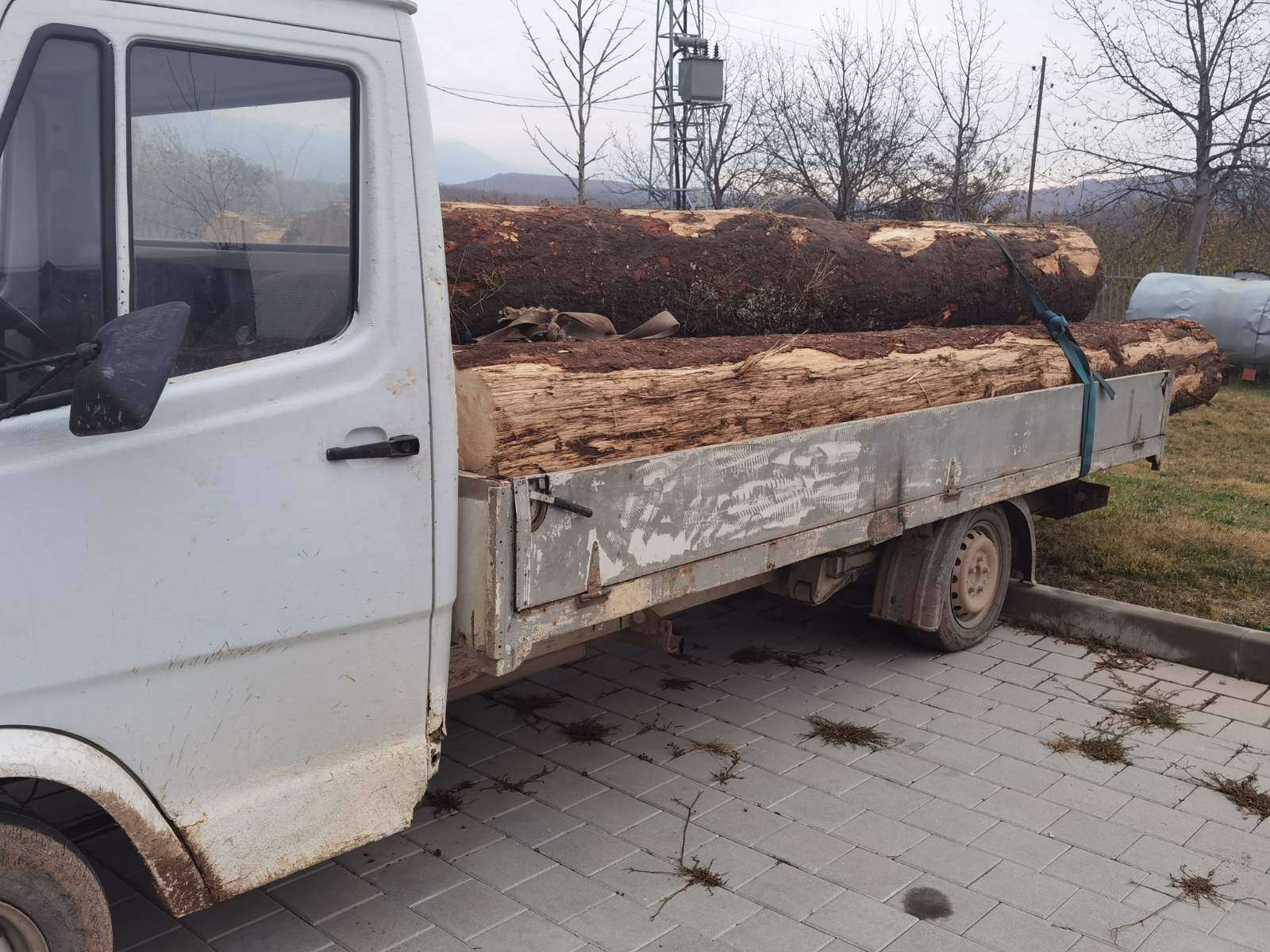 Zyrtari i APK-së dyshohet se ndihmoi në vjedhje të drunjve, ndalohet për 48 orë
