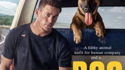 “Dog” një film plot emocione dhe humor