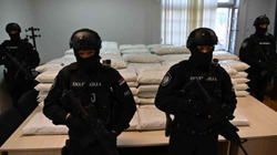 Policia serbe konfiskon gjysmë toni marihuanë: U fut nga Kosova