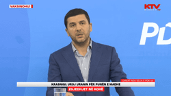 Krasniqi: PDK-ja ka fituar pesë komuna, e është në balotazh në shumë të tjera