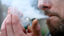 Luksemburgu i pari në Evropë që legalizon përdorimin e marihuanës