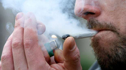Luksemburgu i pari në Evropë që legalizon përdorimin e marihuanës