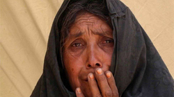 Afganistani po përballet me krizë të dëshpëruar urie, paralajmëron OKB-ja