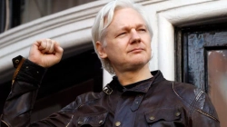 SHBA-ja nis apelin për ekstradimin e Julian Assange