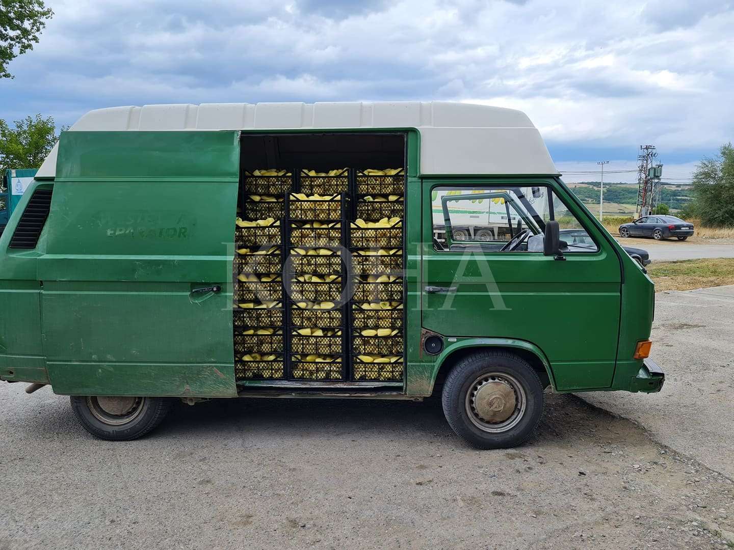 Mungesa e fuqisë punëtore në fushat bujqësore të Rahovecit, brengë për komunën