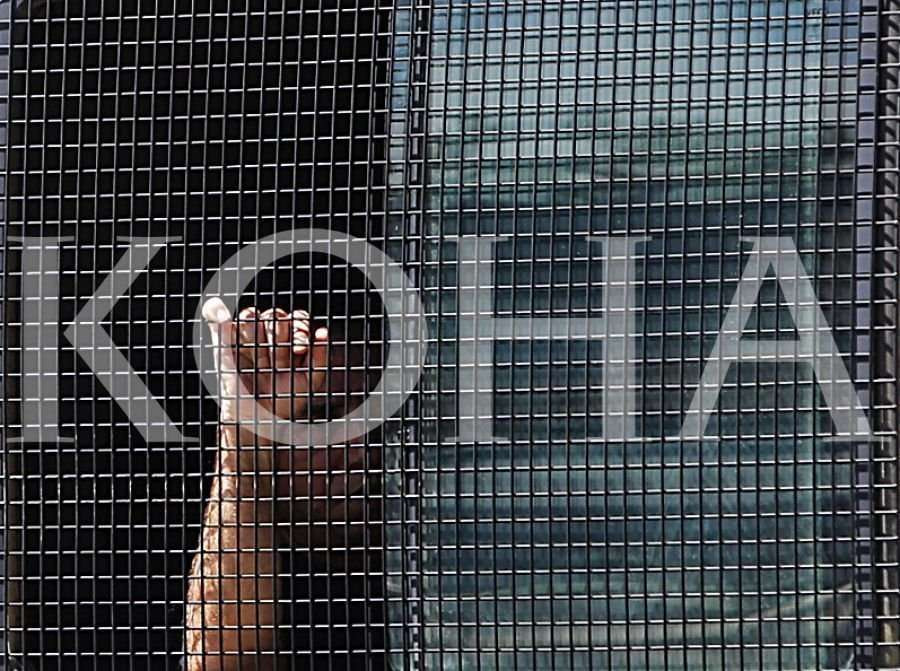 kerkohet-paraburgim-per-5-te-dyshuarit-falsifikuan-dokumentin-e-nje-te-vdekuri-per-shitje-parcelash