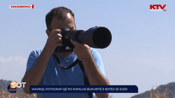 Mavriqi, fotografi që po shpalos bukuritë e botës së egër