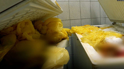 Klinika e Gjinekologjisë rrezikohet nga frigoriferë të mbushur me placenta
