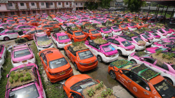 Taksitë në Tajlandë shndërrohen në kopshte, pandemia nuk po i lë të funksionojnë