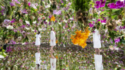 Kopshti përrallor në Tokio me 13.000 orkide “lundruese”