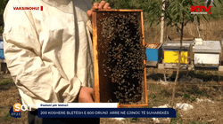 200 koshere bletësh e 600 drunj arre në Gjinoc të Suharekës