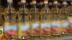 Çmimi i vajit rritet sërish, 2.75 euro për 900 ml