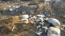 Lipjanasit ankohen për deponitë, Komuna i fajëson qytetarët