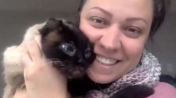Kanadezja ribashkohet me macen e saj pas pesë vjetësh