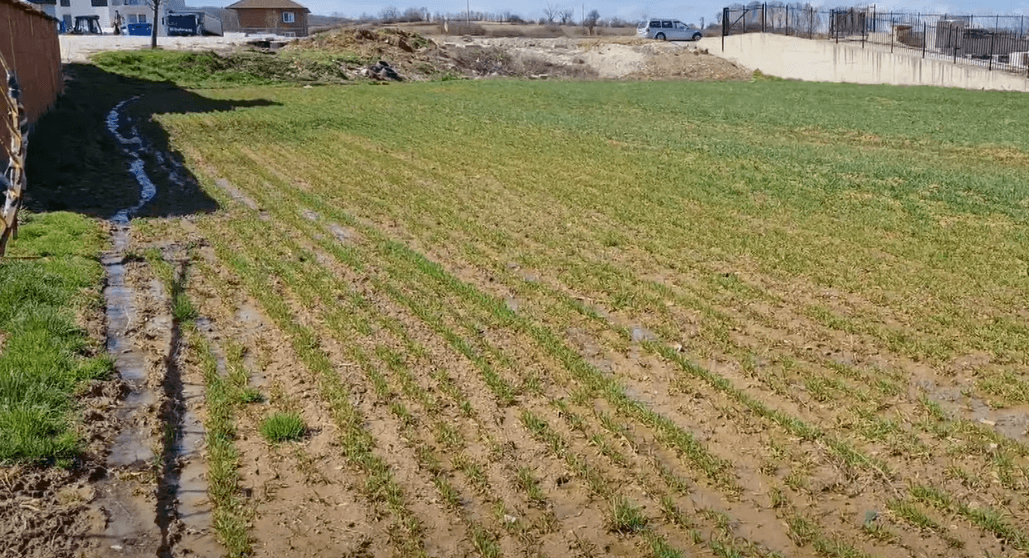 Lluzhan, arat dëmtohen