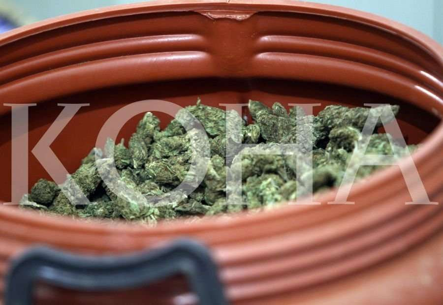 Ndalohet në Gjilan një i dyshuar për mbajtje dhe kultivim të lëndëve narkotike