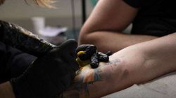 Ukrainasit mbushen me tatuazhe me simbole patriotike, nuk mungon shqiponja
