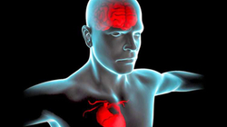 Ndikimi i stresit në shëndetin e zemrës