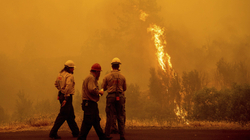 Zjarri më i madh në Kaliforni për vitin 2022 jashtë kontrollit, raportohet për 2 të vdekur