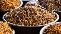 5 burime proteinash me cilësi të lartë që duhet konsumuar çdo ditë