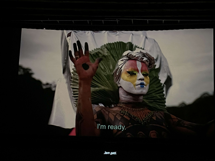 DokuFest
