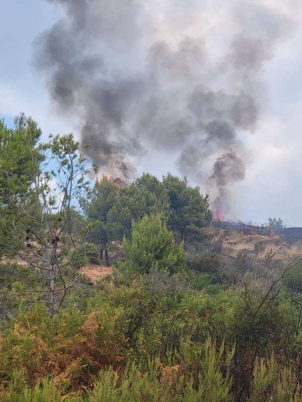 ​Rikthehen zjarret në Krujë, flakët po përhapen drejt banesave