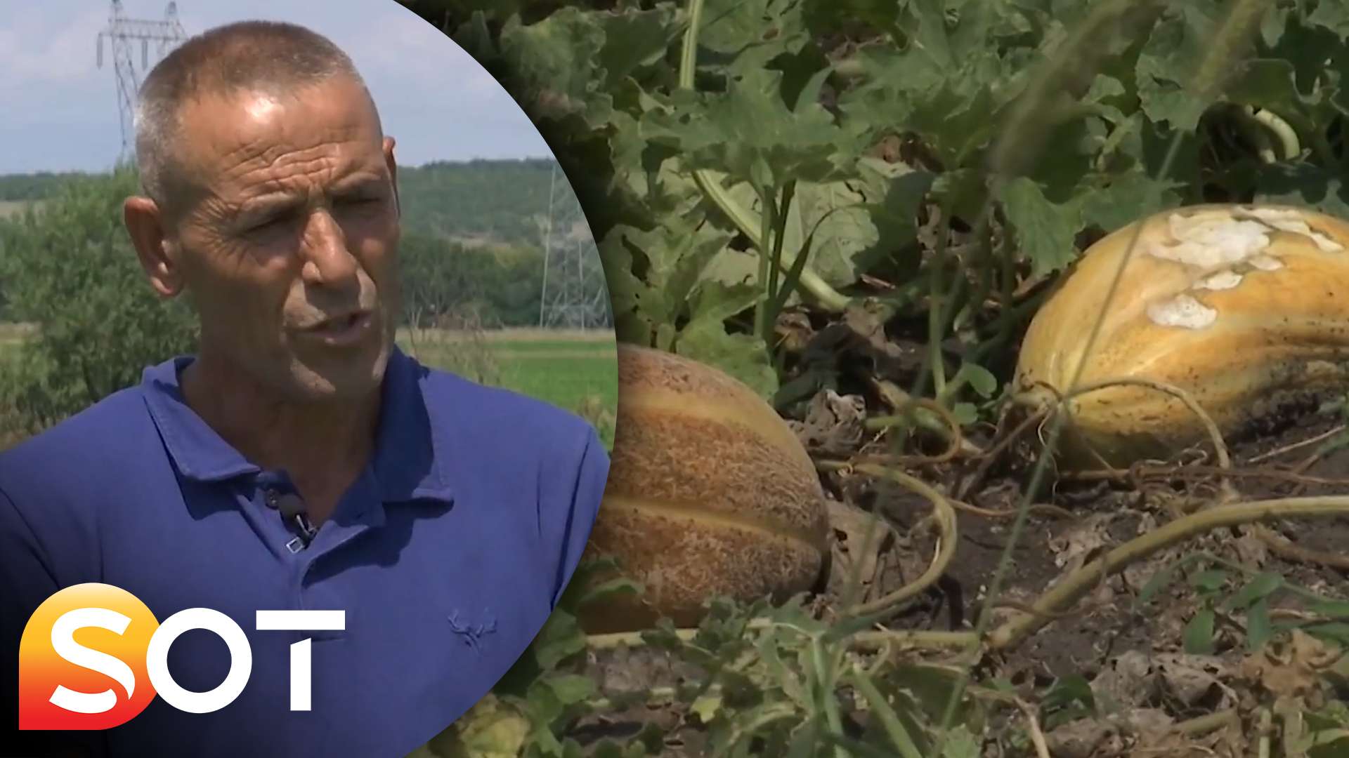 Shefki Miftari, pasionin për pjepër e bostan e ktheu në biznes