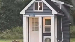 Familja amerikane bëhet virale pasi rezervoi për pushime një shtëpi prej 10 metrash katrorë
